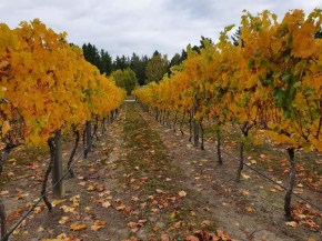 Гостиница Vines on Bannockburn  Кромвель